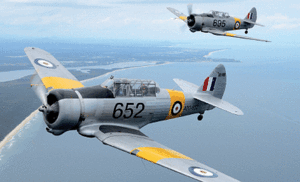 Warbirds: Queensland Air Museum gets Wirraway 